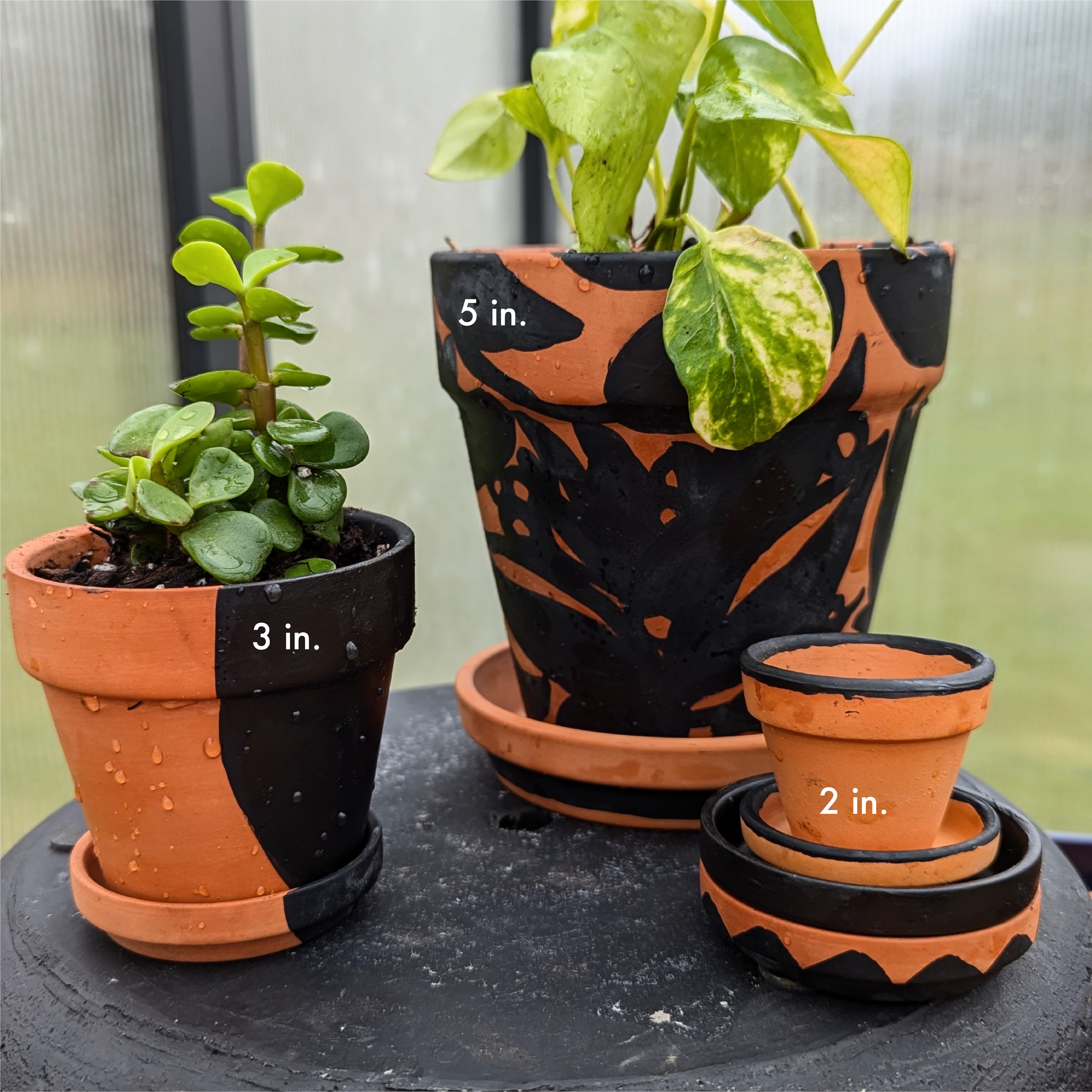 Hand Painted Terra Cotta Pot + Saucer No. 301