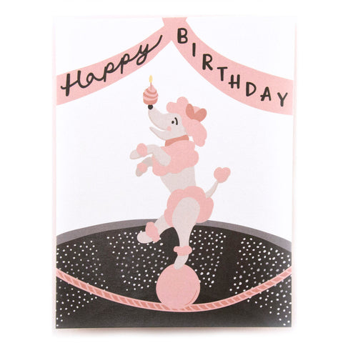 Poodle Birthday • Birthday Card