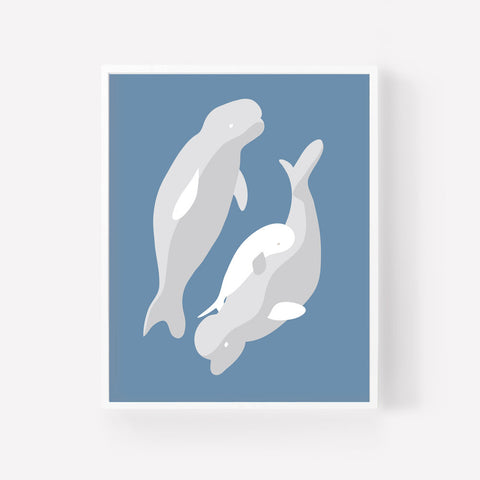 Baby Beluga • Art Print